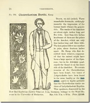 clip_image004