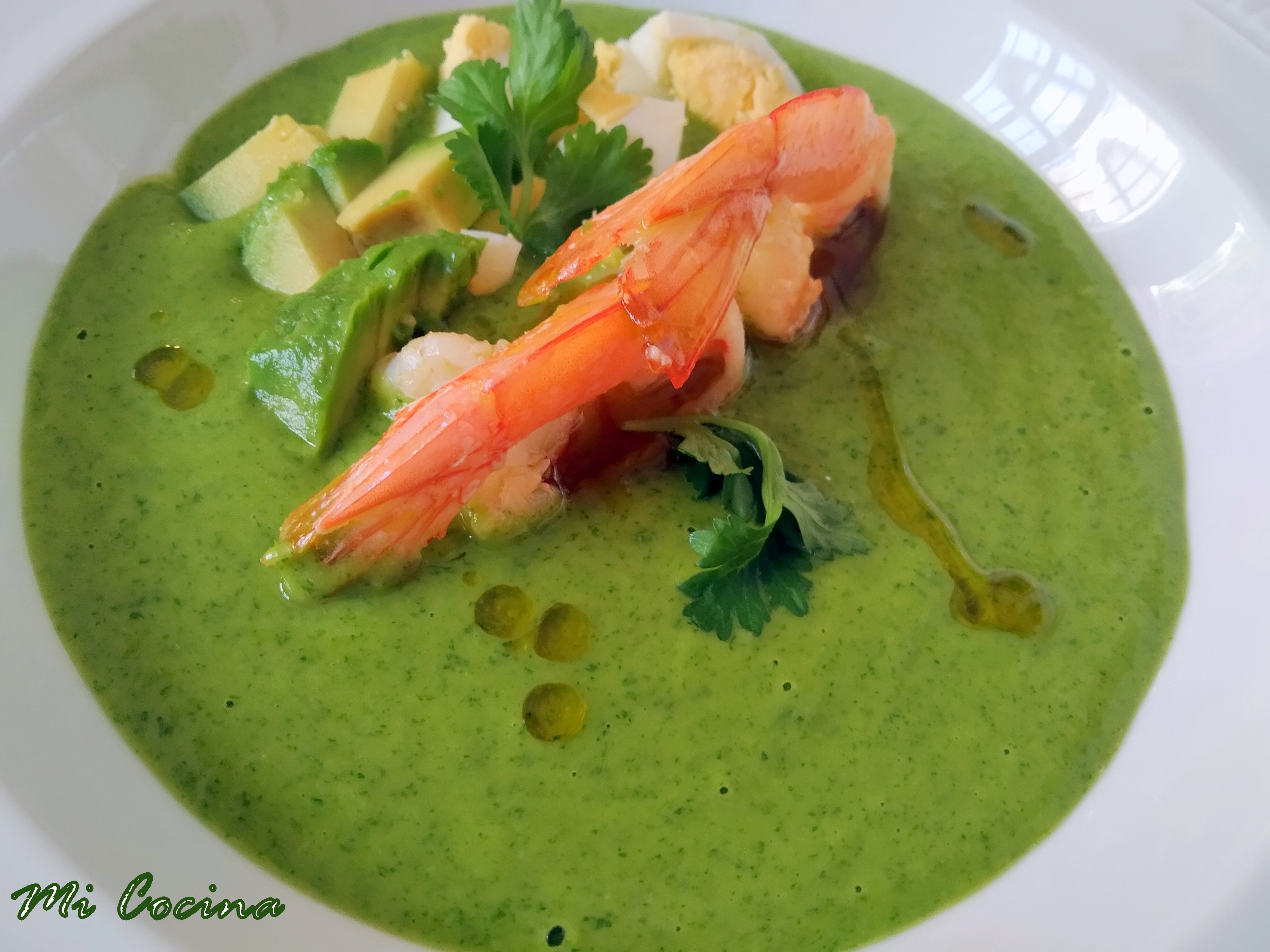 GAZPACHO DE CILANTRO