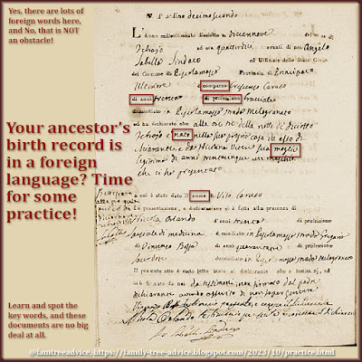 Ancestor's birth record in another language? Relax. You don't have to read every word.