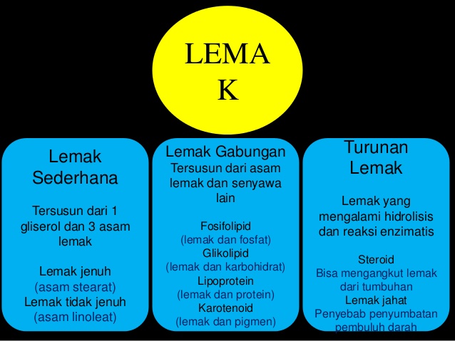 4 komponen kimiawi penyusun sel  pada makhluk hidup 