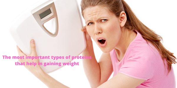 The most important types of proteins that help in gaining weight