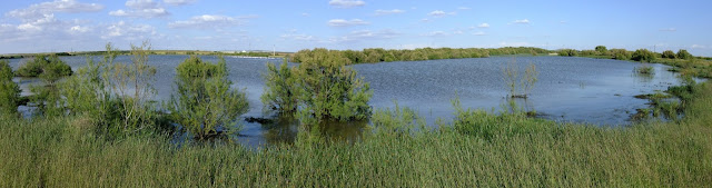 LAGUNAS MANCHEGAS