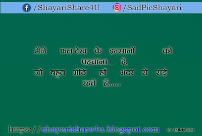 dosto ke liye shayari hindi mai