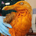 New Orange Seagull!!