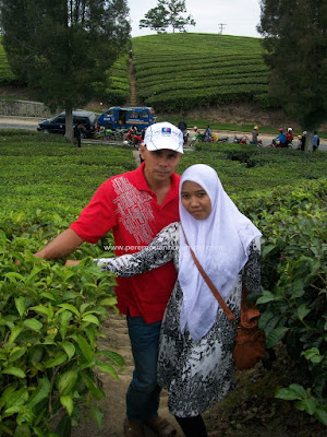 kebun teh siantar wisata sumut