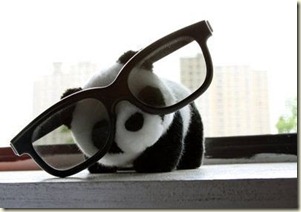 small panda big glasses