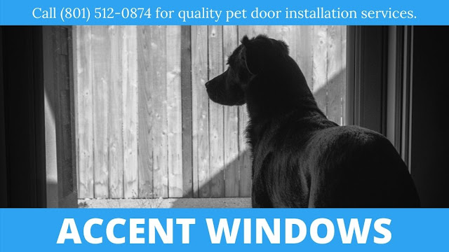 pet-door-installation-in-Logan