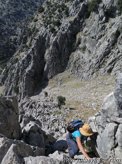 Pared de Fardelejas