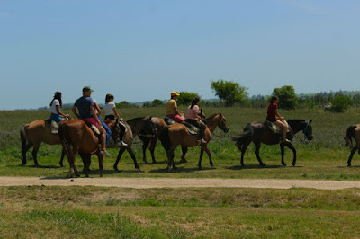 Posada campo Uruguay Argentina