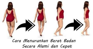 Penurun Berat Badan 