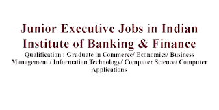 Junior Executive Jobs in Indian Institute of Banking & Finance