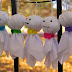 Teru Teru Bozu (Boneka Lucu Penangkal Hujan)