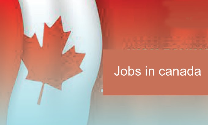 Popular job sectors in Canada and how to get a job in Canada
