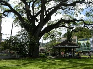 Derek Walcott's Square, St. Lucia