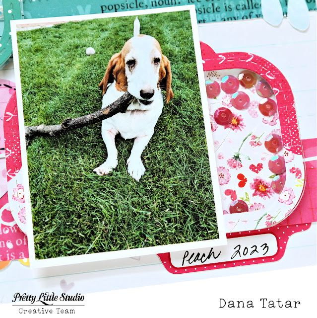 Dana Tatar uses the Sunkissed collection from Pretty Little Studio to create an adorably colorful scrapbook layout featuring her basset hound Peach.