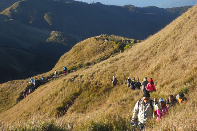 Mt. Pulag summit