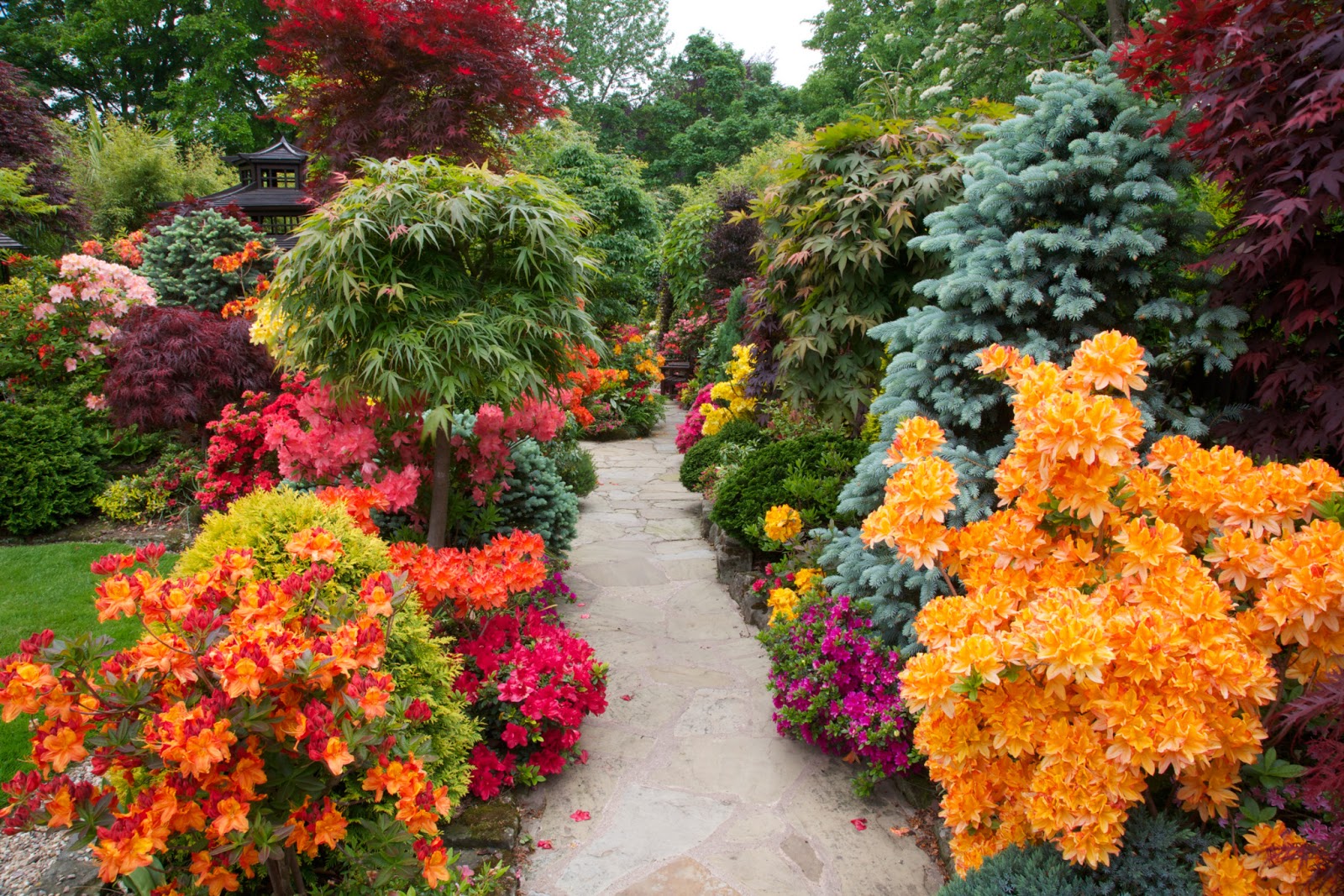 Beautiful Home Flower Gardens