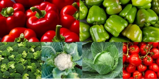 Combopack offer of vegetable seeds