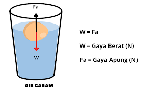 Percobaan telur mengapung