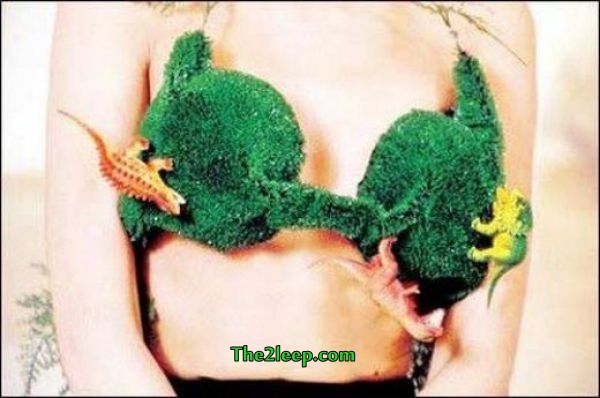 Funny Bra designs