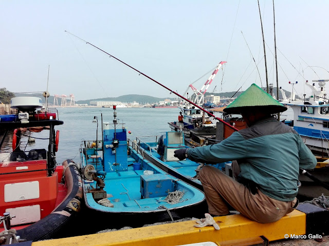 MERCADO DEL PUERTO DE PESCADORES DE DADAEPO. BUSAN, COREA DEL SUR