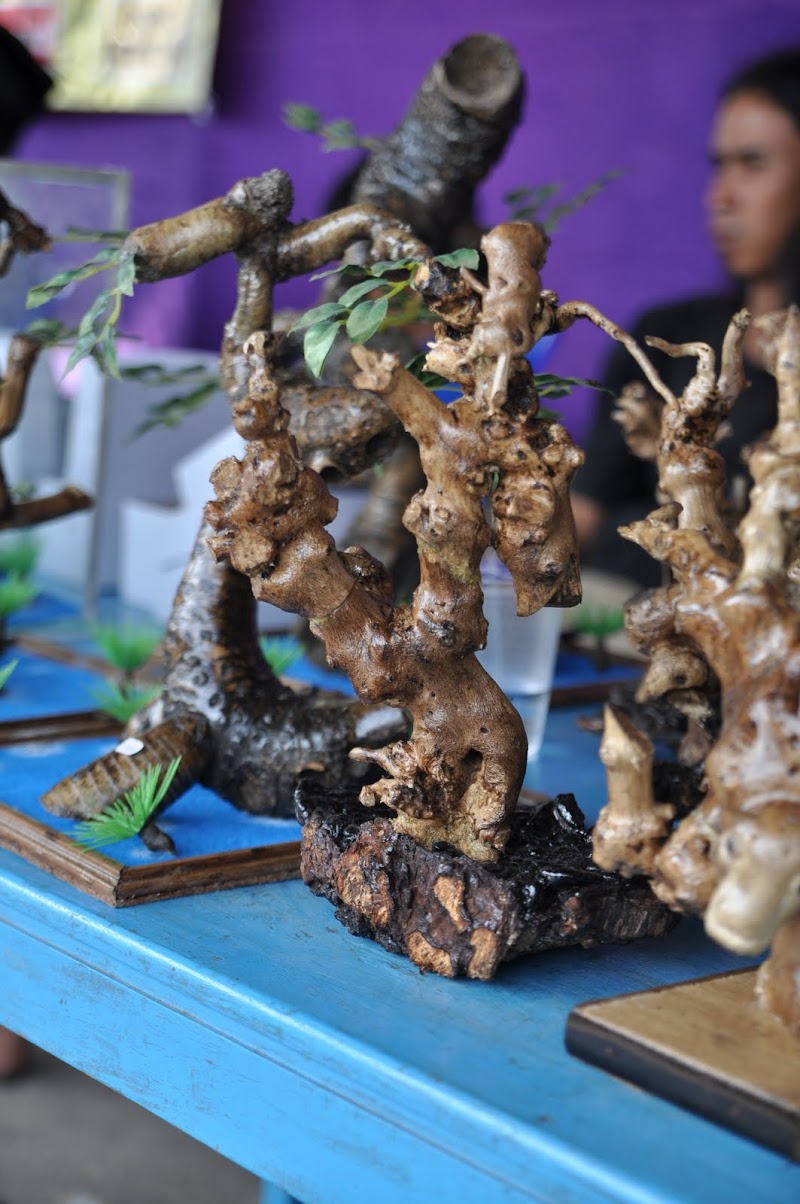 28 Koleksi Terbaru Kerajinan Kayu Adalah