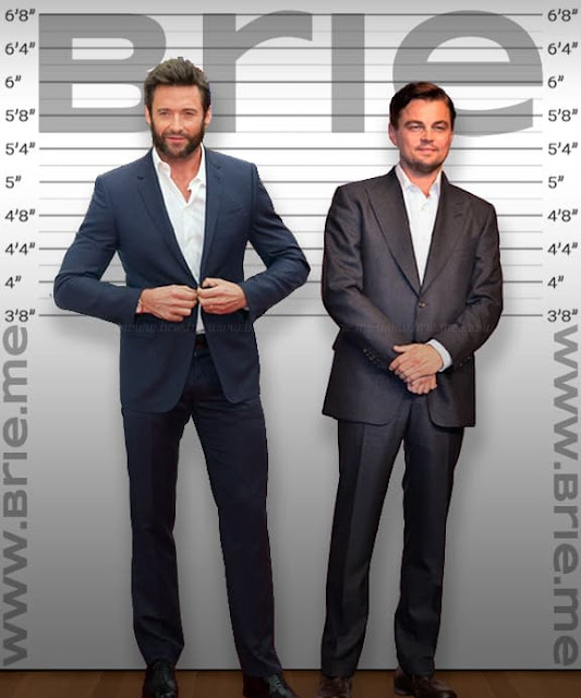 Hugh Jackman height comparison with Leonardo DiCaprio