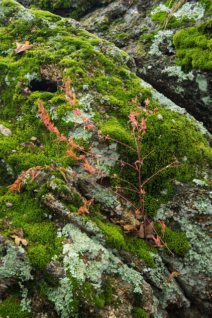 Lake Mineral Wells State Park