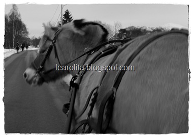 Januar 017