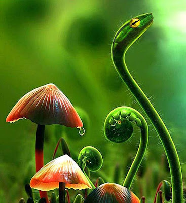 Awesome Photoshopped Combination Of Plants And Animals Seen On www.coolpicturesgallery.blogspot.com