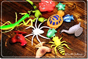 egglayinganimals