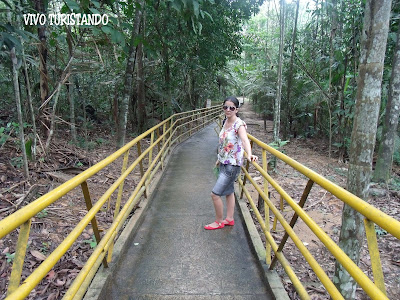 Manaus | Fomos conhecer o Sauim-de-Manaus no Parque do Mindu