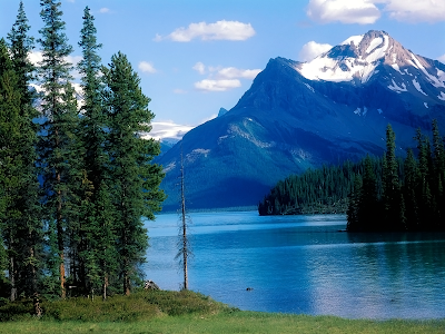 wildlife wallpaper. Maligne Lake wallpaper