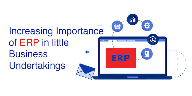 Increasing Importance of ERP in little Business Undertakings