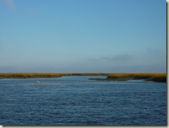 P1130782