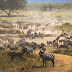 10 Interesting National Parks of Africa