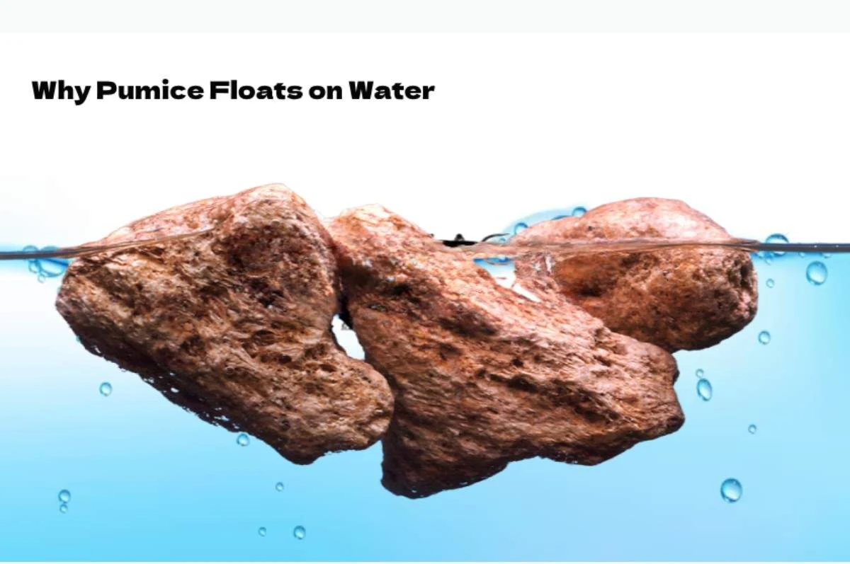 Why Pumice Floats on Water