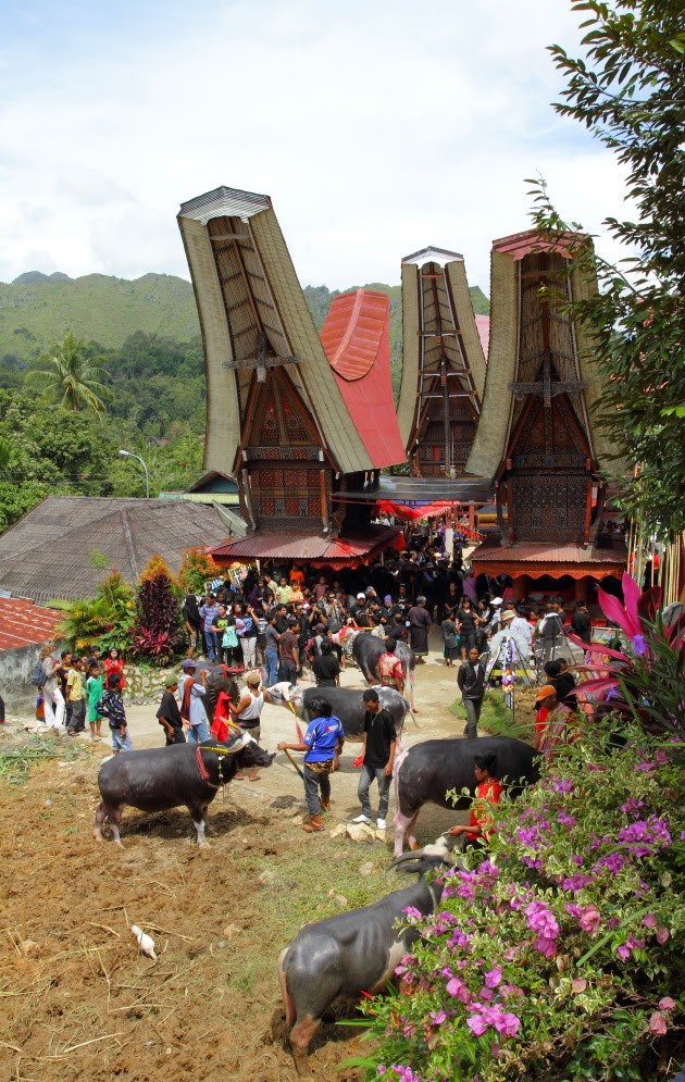 Funeral Scene at a Tana Toraja House