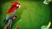 Cool Wallpapers HD Background (parrot wallpaper )