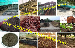New Agro-Business in Nigeria | Vermi-compost Organic Fertilizer Production| Business plan
