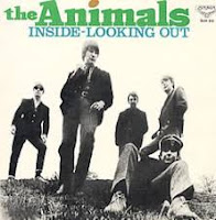 Inside - Looking Out (Animals)