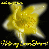 you are my sweet friend