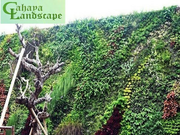 Jasa Pembuatan Taman Vertical Garden/Taman Dinding