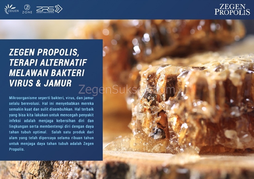 propolis zegen