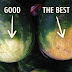 Αυτά είναι τα 5 μυστικά για να διαλέγετε πάντα το καλό καρπούζι