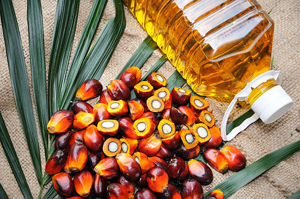 Is Palm oil Bad for you? Here what you need to know about palm oil.