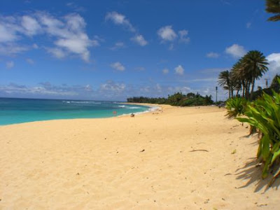 Beach View