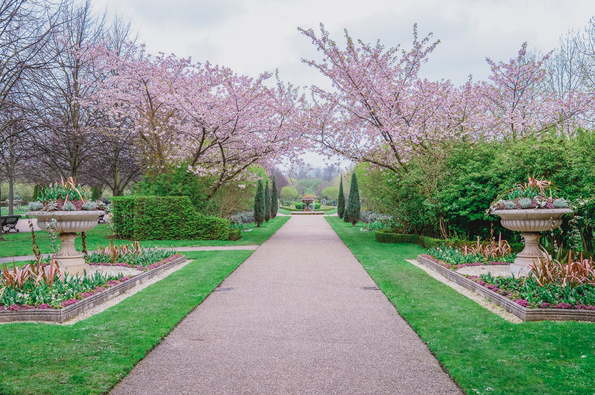 Regent's Parl in bloom