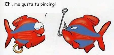 peces con piercing