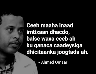 Ahmed Omaar Somali Quotes, Motivational quotes, quotes for education, quotes for students, Somali quotes for exams, Ahmed Omaar